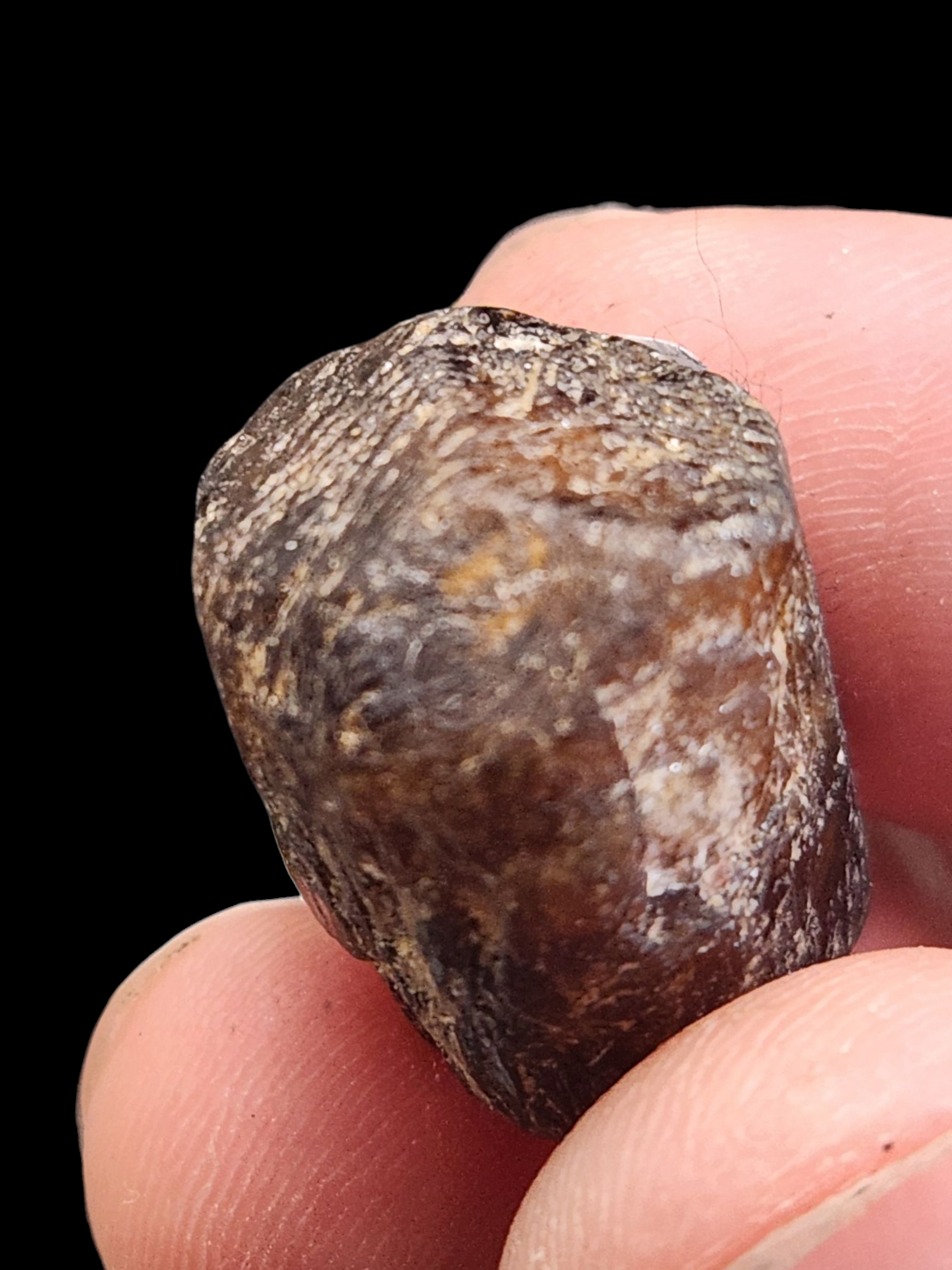 Dravite tourmaline