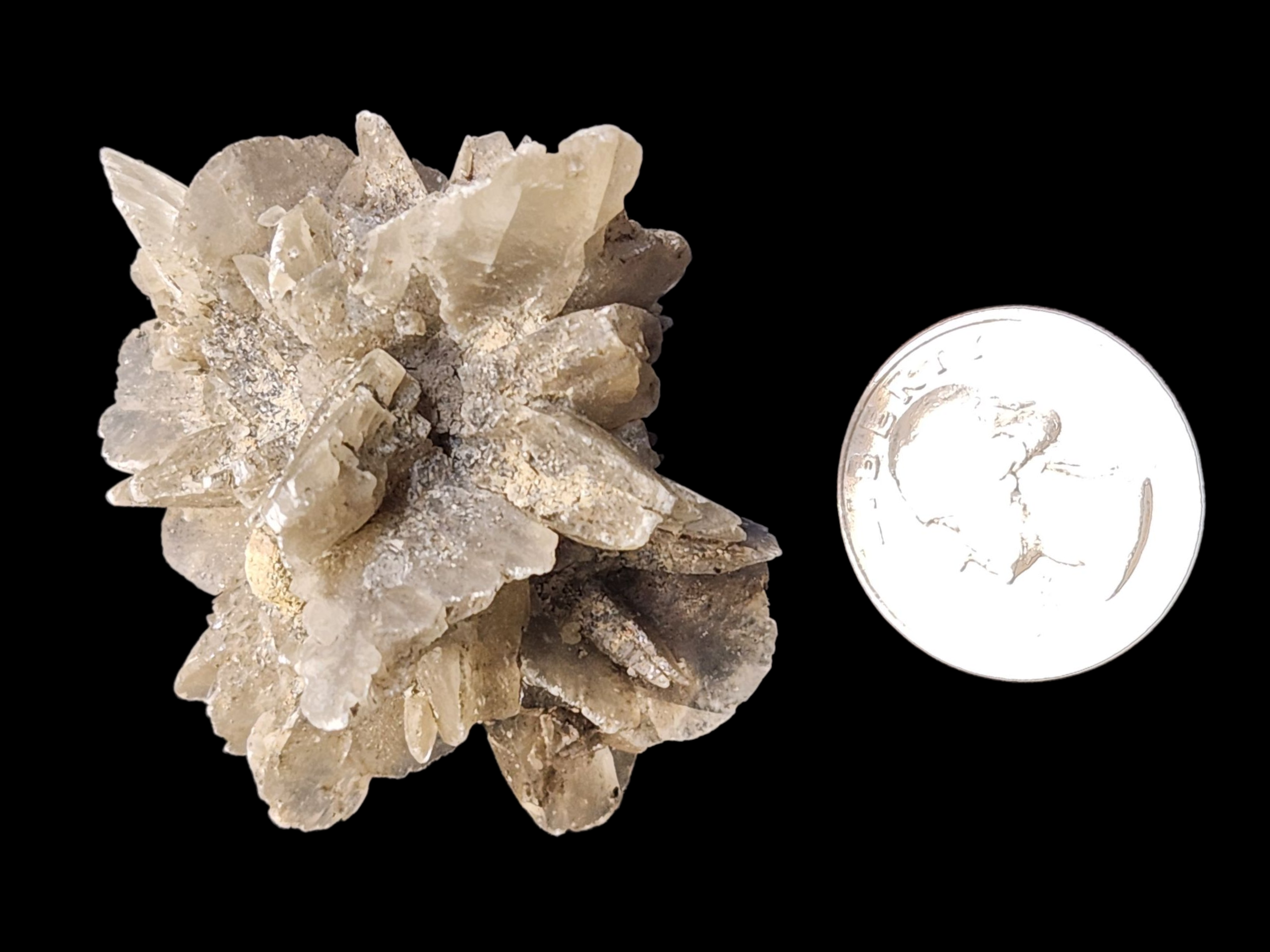 Barite rose
